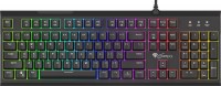 Photos - Keyboard Genesis Thor 210 RGB 