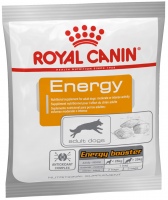 Photos - Dog Food Royal Canin Energy 1