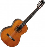 Photos - Acoustic Guitar Tanglewood EM D3 