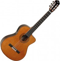Photos - Acoustic Guitar Tanglewood EM DC5 
