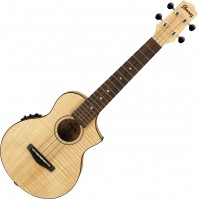 Acoustic Guitar Ibanez UEW12E 