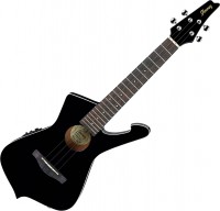 Acoustic Guitar Ibanez UICT10 