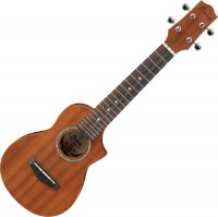 Acoustic Guitar Ibanez UEWS5 