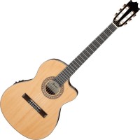 Acoustic Guitar Ibanez GA34STCE 