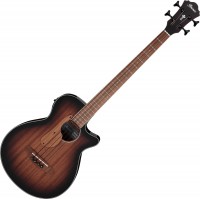 Photos - Acoustic Guitar Ibanez AEGB24E 
