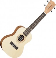 Photos - Acoustic Guitar Tanglewood TWT4 