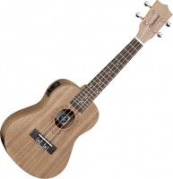 Photos - Acoustic Guitar Tanglewood TWT3E 