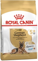 Photos - Dog Food Royal Canin German Shepherd 5+ 12 kg 