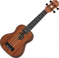 Acoustic Guitar Epiphone EpiLani Soprano Ukulele 