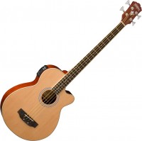 Acoustic Guitar Washburn AB5 