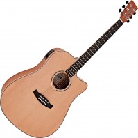 Photos - Acoustic Guitar Tanglewood DBT DCE FMH 
