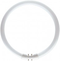 Photos - Light Bulb Philips MASTER TL5 Circular 22W 4000K 2GX13 