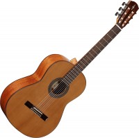 Acoustic Guitar Alvarez AC65 