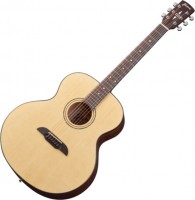 Photos - Acoustic Guitar Framus FJ 14 SV 