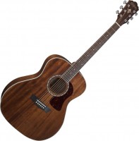 Acoustic Guitar Washburn G12S 