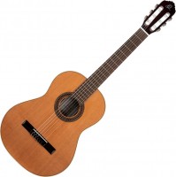 Photos - Acoustic Guitar Ortega R225G-7/8 