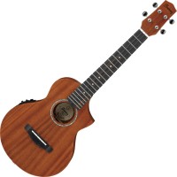 Photos - Acoustic Guitar Ibanez UEWT5E 