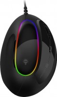 Photos - Mouse Connect IT Verti RGB 