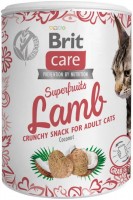 Photos - Cat Food Brit Care Superfruits Lamb 100 g 