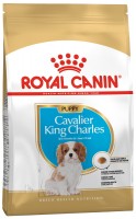 Photos - Dog Food Royal Canin Cavalier King Charles Puppy 1.5 kg 