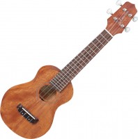 Acoustic Guitar Takamine GUS1 