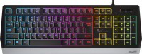 Photos - Keyboard Genesis Rhod 300 RGB 