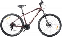 Photos - Bike Spirit Fitness Echo 9.2 29 2021 frame XL 