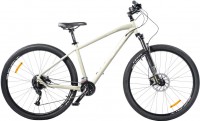 Photos - Bike Spirit Fitness Echo 9.3 29 2021 frame L 