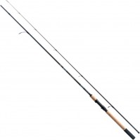 Photos - Rod Jaxon Eclatis Master Spin 295-40 