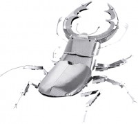 Photos - 3D Puzzle Fascinations Stag Beetles MMS071 