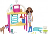 Doll Barbie Playset Hatch and Gather Egg Farm HGY88 