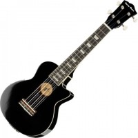 Photos - Acoustic Guitar Harley Benton UK-L100E 