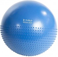 Photos - Exercise Ball / Medicine Ball HMS YB03 55 cm 