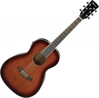 Acoustic Guitar Ibanez PN12E 