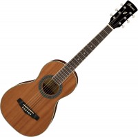 Acoustic Guitar Ibanez PN1MH 