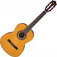 Acoustic Guitar Ibanez GA2 