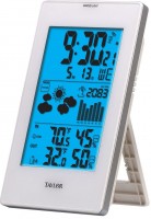 Weather Station Taylor 1735 