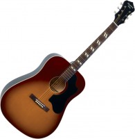 Acoustic Guitar Recording King RDS-7 