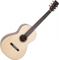 Acoustic Guitar Recording King RP-G6 