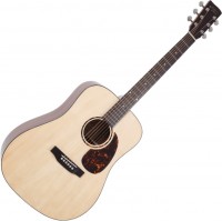 Acoustic Guitar Recording King RD-G6 