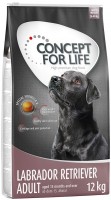 Photos - Dog Food Concept for Life Labrador Retriever Adult 