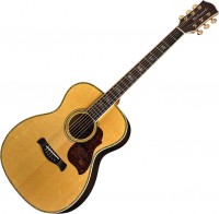 Photos - Acoustic Guitar Richwood A-70-EVA 
