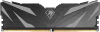 Photos - RAM Netac Shadow II DDR5 2x16Gb NTSWD5P48DP-32K