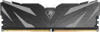 Photos - RAM Netac Shadow II DDR5 1x8Gb NTSWD5P48SP-08K