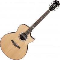 Photos - Acoustic Guitar Ibanez MRC10 