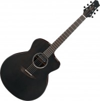 Photos - Acoustic Guitar Ibanez JGM5 