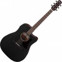 Photos - Acoustic Guitar Ibanez AAD190CE 