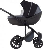 Photos - Pushchair Anex M-Type Pro 2 in 1 