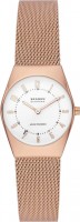 Wrist Watch Skagen SKW3078 