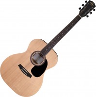 Photos - Acoustic Guitar Prodipe SA25 